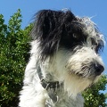 Cisco en 2009
